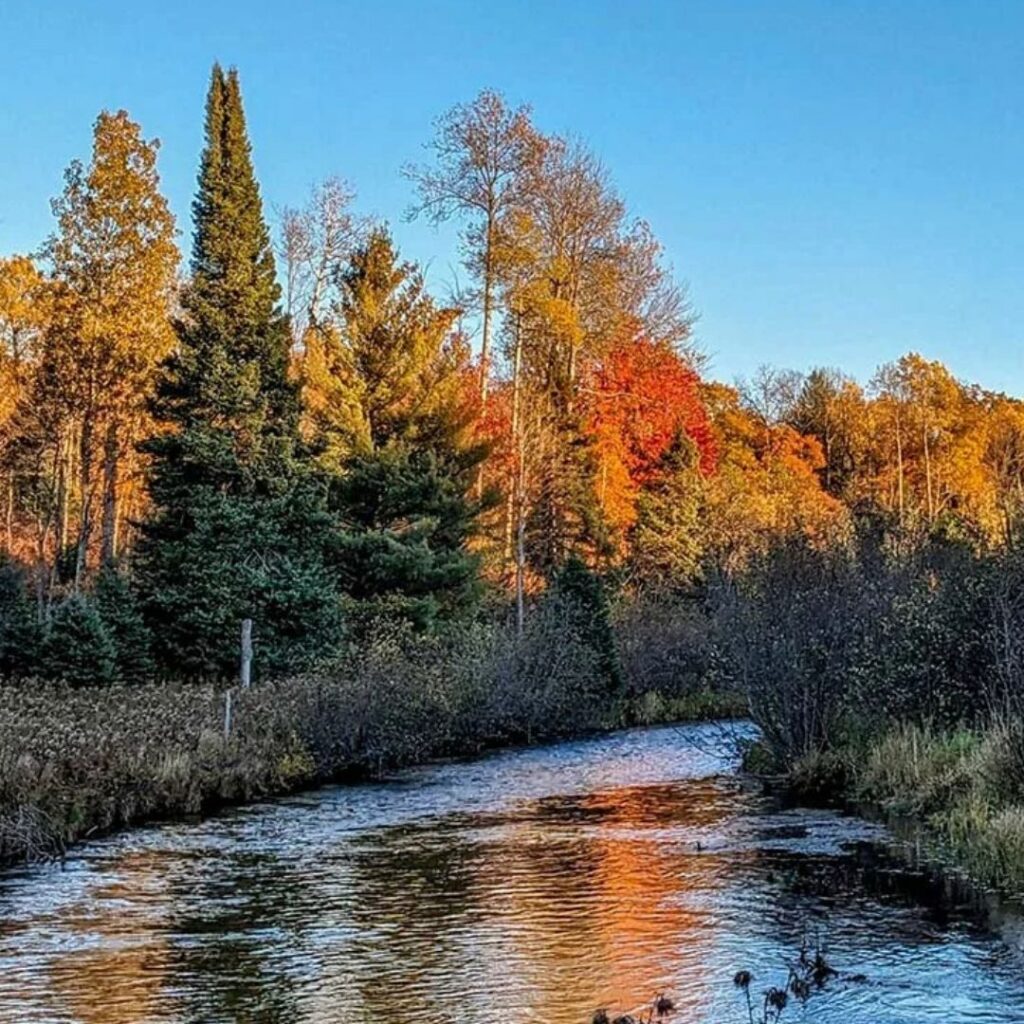 Autumn colors along the Pigeon River at Song of the Morning Yoga & Meditation Retreat in northern Michigan.